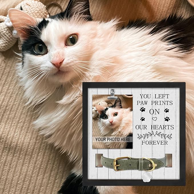 Pet Loss Gift for Loss of Dog, Memorial Sympathy Gifts Pet Memorial Frame, Cat Memorial Gift, You Left paw Prints