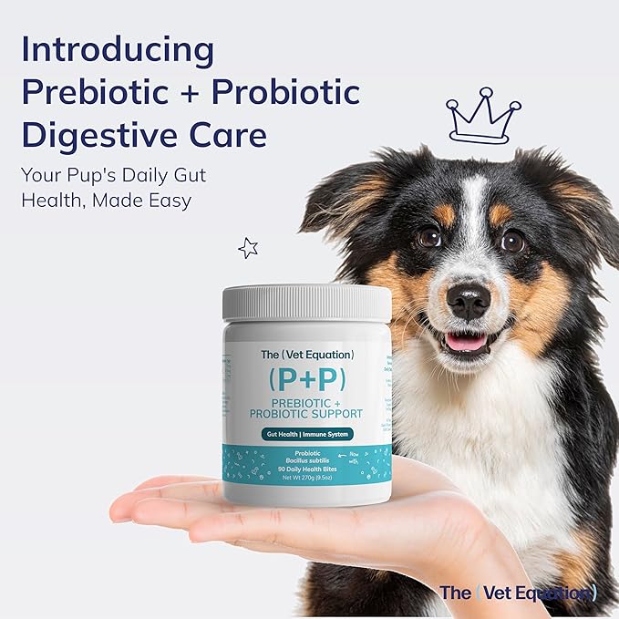 Prebiotic & Probiotic for Dogs – Digestive & Gut Health Chews – Natural Duck Flavor, 90 Count – with Bacillus Subtilis, Vitamin B12 & Folic Acid – Supports Immune & Digestive Health