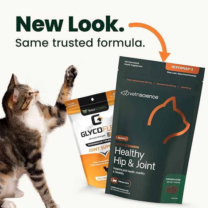 VetriScience Extra Strength Healthy Hip & Joint Chews, GlycoFlex Glucosamine and Green-Lipped Mussel Joint Support Supplement for Cats, Promote Mobility and Soothe Joint Discomfort, Chicken, 60 Count