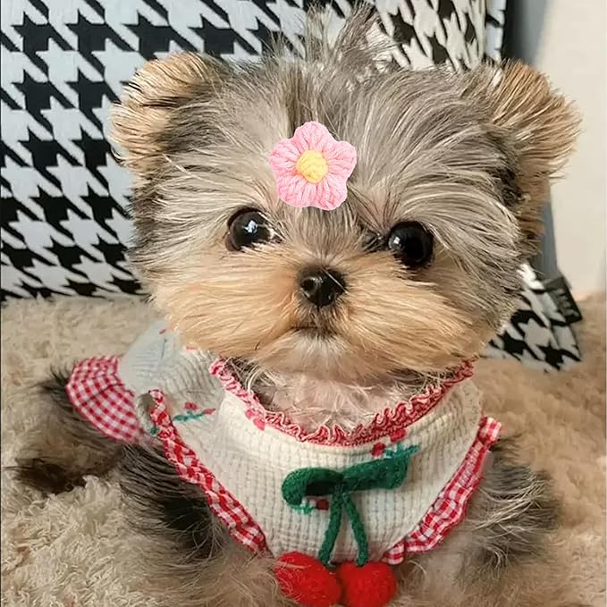 PET SHOW 10Pairs/Pack Flower Dog Hair Bows for Small Medium Dogs Yorkie Girl Boy Flower Bows with Rubber Band Doggies Cat Grooming Hair Accessories for Party Birthday