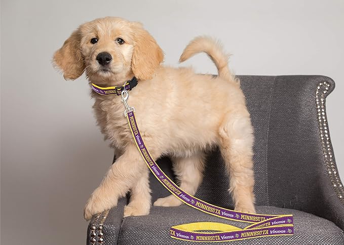 Pets First NFL Licensed Minnesota Vikings Pet Leash, Size Small – Durable Satin Dog & Cat Walking Strap and Pet Tether with Embroidered Team Name & Logo