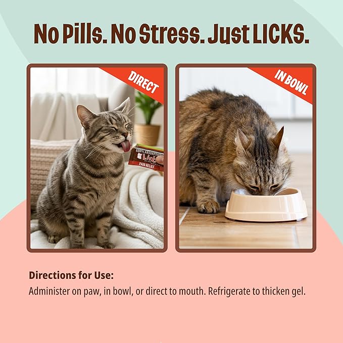 Licks Pill-Free Cat Ache Aid - Turmeric and Ginger Cat Supplements - Cat Health Supplies & Pain Relief - Gel Packets - 10 Use
