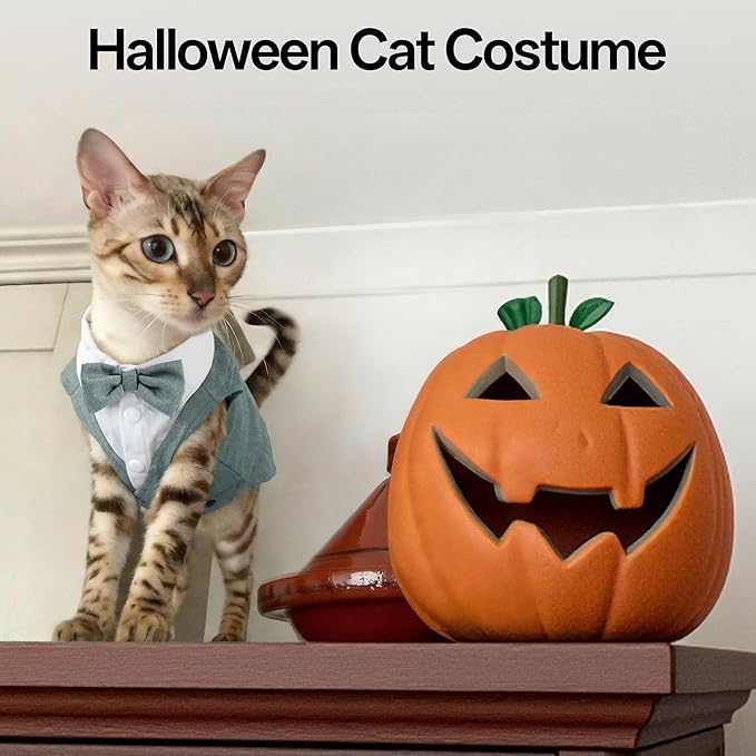 PUMYPOREITY Cat Tuxedo Suit Formal Wear with Bow Tie, Soft Skin-Friendly Cat Costumes for Cats Only, Elegant Outfit for Male Female Cats, Perfect for Wedding Birthday Photo Shoots, XS, Grey
