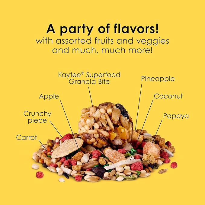 Kaytee Fiesta Parakeet Food, Nutritious and Fun Blend, Supports Skin, Feather, Digestion, Brain and Heart Health, 2 pounds