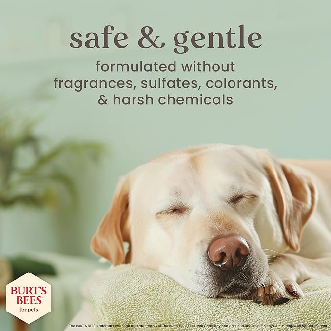 Burt’s Bees for Pets Deodorizing Shampoo with Manuka Honey and Charcoal for Dogs - Naturally Derived Ingredients, 16 Fl Oz