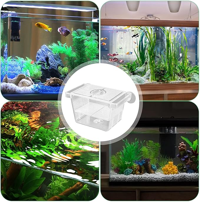 Fish Breeding Box - 20.5*9.5*9.9cm Acrylic Hatchery Incubator Tank Fish Tank Divider | Fishes Tanks Incubator Breeding Box | Aquarium Breeder BoxFish Acclimation Boxes Nursery For Injured Hatchery Inc
