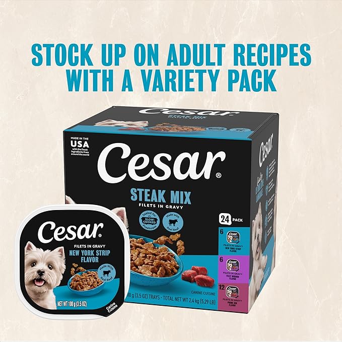 Cesar Filets in Gravy Adult Wet Dog Food New York Strip Flavor, 3.5 oz. Easy Peel Dog Food Tray, 24 Count (Pack of 1)