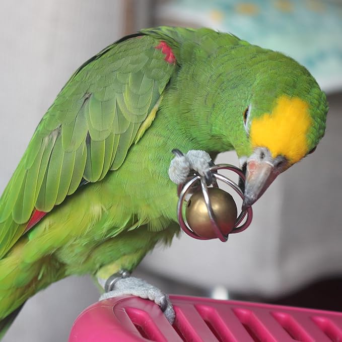 Fosrion Heavy Duty Stainless Steel Bird Toy for Large Parrots - Chew-Proof Foraging Ball with Bell for Macaws, Cockatoos, African Greys (Large)
