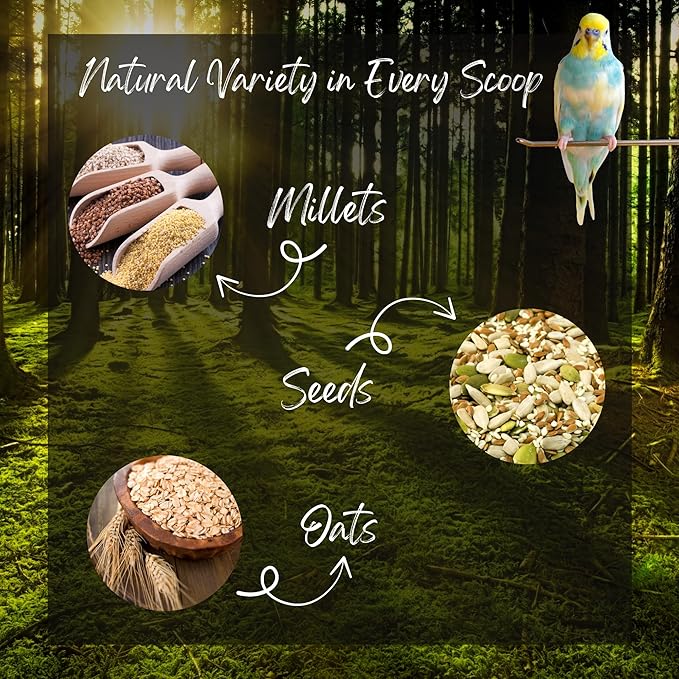 Danodia's Zoolulu Premium Budgies & Finches Millet Mix (950g /2 lbs) | Premium Bird Seed Blend for Budgies, Finches & Canaries | Daily Healthy Nutrition