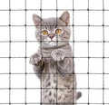 Net Balcony Barrier for Cats, Cat Netting Fence, Indoor Outdoor Barrier, Balcony Cover, Cat Proof Fence Topper Safety Net, 10 X 13 Ft Patio Netting for Pets, Steel Wire Window Guards