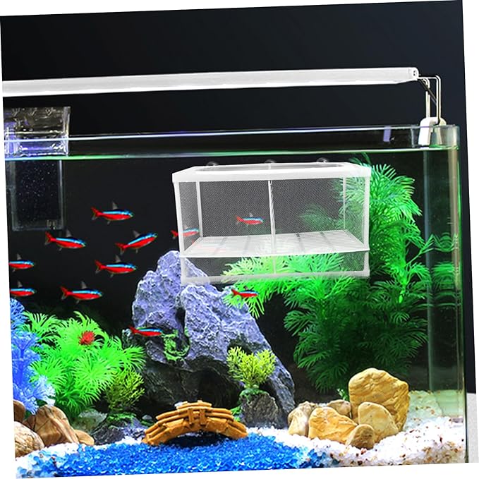 Toyvian 2pcs Aquarium Breeding Box Partition for Fish Tank Accessories Betta Fish Tank Incubator Random Style