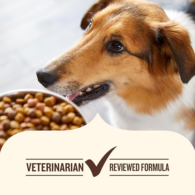 Nutrish Rachael Ray Weight Management Wet Dog Food Premium Paté Real Turkey & Pumpkin Recipe,13 oz. Can,(Pack of 24)