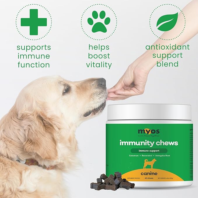MYOS Immunity Chew for Dogs - Immune System Support, Antioxidants, Helps Cellular Health & Vitality- with Colostrum, Resveratrol, Astragalus Root, and Mushrooms- Daily Chewable Supplement