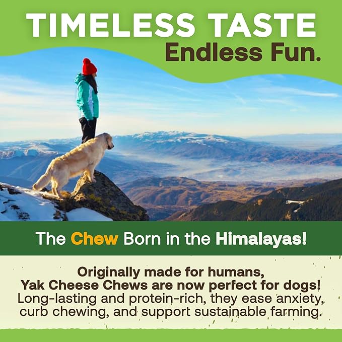EcoKind Premium Gold Yak Cheese Himalayan Dog Chews, Dog Treats Large Breed, All Natural, High Protein, for Aggressive Chewers, Large - 12+ Chews (3 lb)