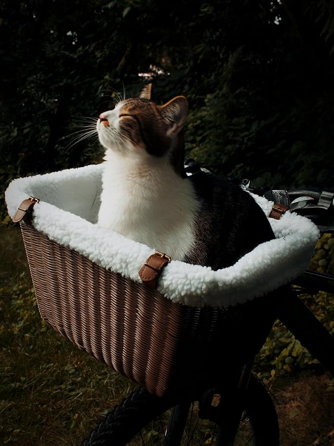 Bicycle Basket for Small Dogs and Cats - Bike Basket Includes Wired Cage Top with Sun Shade, Plush Removable Padded Liner, and Bicycle Bell