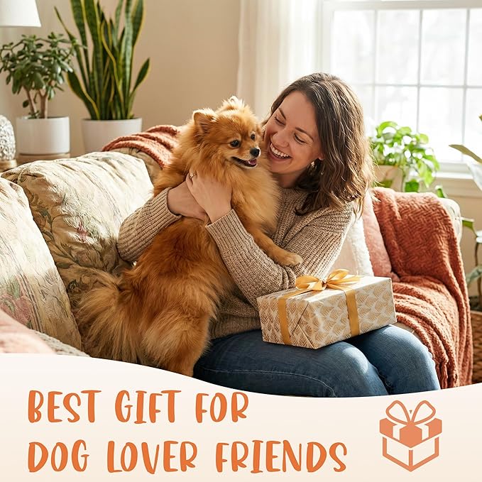 Dog Feeding Reminder Supplies with Magnet, Bone-Shaped Design Brushed Silver, Acrylic Pet Nursing Schedule for Breakfast & Dinner, Feed Slider with Paw Pattern, 2 Stickers 5.5 x 2.6inch