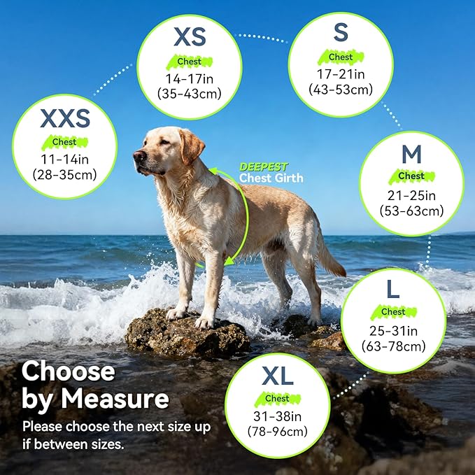 VIVAGLORY Rip Stop Dog Life Vest, Swimming Vest with Handle, Buoyancy for Doggy Puppy, Dog Life Jacket for Swimming & Boating, XL, Yellow