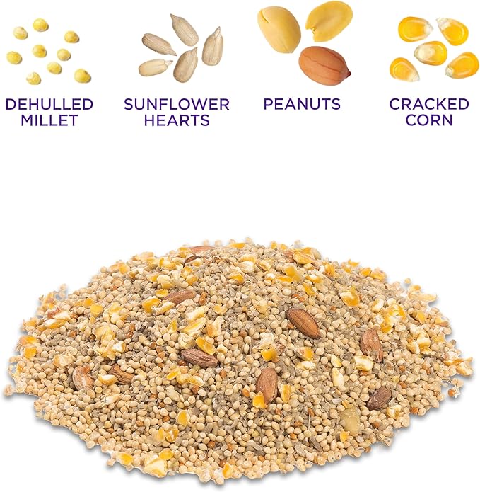 Audubon Park 12228 No-Waste Blend Wild Bird Food, 5-Pound