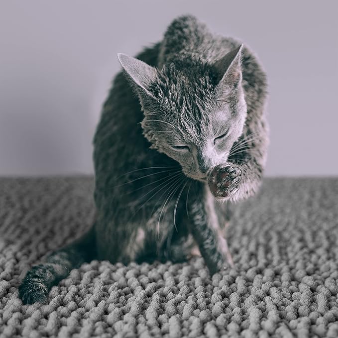CatGuru Cat Litter Mat, Medium, Extra Large, XXL, Waterproof Litter Box Mat, Non Slip Kitty Litter Mat, Machine Washable Litter Trapping Mat, Soft Litter Tray, Cat Stuff (Medium, Grey/Standard)