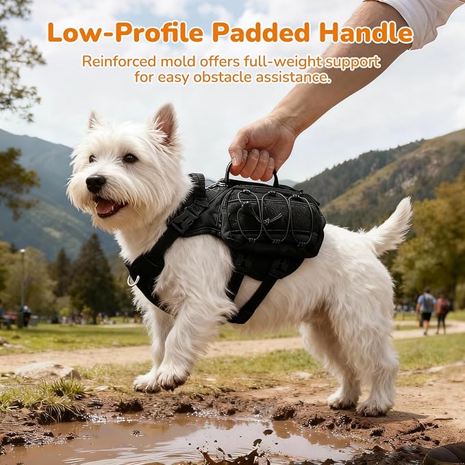 Small Dog Harness Backpack, No Pull Adjustable Dog Vest with Handle & Leash Ring, Lightweight Dog Backpack with Side Pockets for Walking, Training & Day Hikes, Black, S