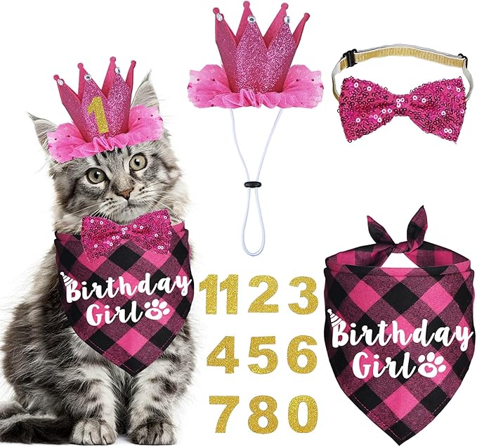 Cat Birthday Party Supplies - Cat Outfits Kitten Bandanas with Hat, Crown, Bow Tie, Number for Kitten Decorations (Rose)