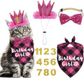 Cat Birthday Party Supplies - Cat Outfits Kitten Bandanas with Hat, Crown, Bow Tie, Number for Kitten Decorations (Rose)