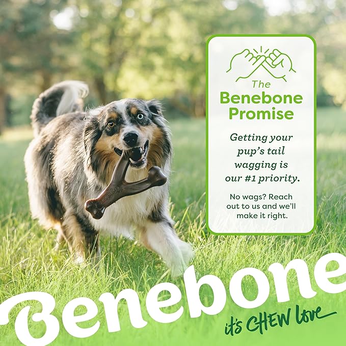 Benebone Wishbone Durable Dog Chew Toy for Aggressive Chewers, Real Bacon, Made in USA, Tiny