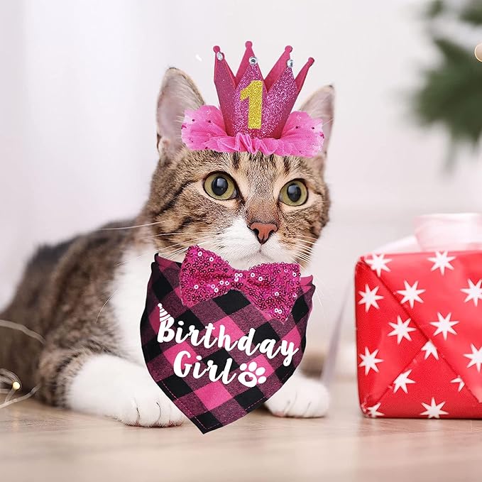 Cat Birthday Party Supplies - Cat Outfits Kitten Bandanas with Hat, Crown, Bow Tie, Number for Kitten Decorations (Rose)