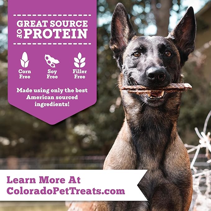 Fresh Field Bison & Apple Jerky Chips, 14 oz – All-Natural Dog Treats, USA Made, Ideal for Picky or Allergy-Prone Pets