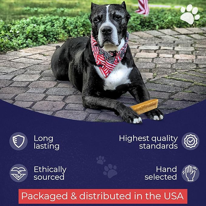 Devil Dog Pet Co. Himalayan Yak Cheese Dog Chews, Large - 3 Pack, 100% Natural & Healthy, Lactose-Free, Long-Lasting Dog Treats, Premium Yak Milk Chew Bones for Dogs