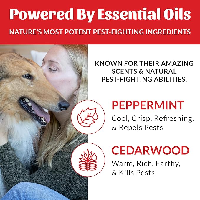 Skout's Honor Flea and Tick Shampoo for Dogs - Natural Peppermint & Cedarwood Formula, Helps to Protect from and Against Fleas, Ticks, and Mosquitos, 16 oz