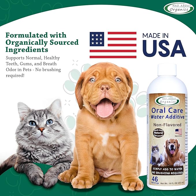 Oral Care Water Additive for Cats & Dogs – Gentle Dental Support – Reduces Breath Odors, Promotes Gum Health – No Brushing – Convenient for Daily Use, Non-Flavored, 16 FL oz