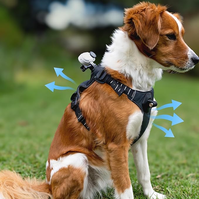 Insta360 GO 3/GO 3S Pet Harness Mount Medium