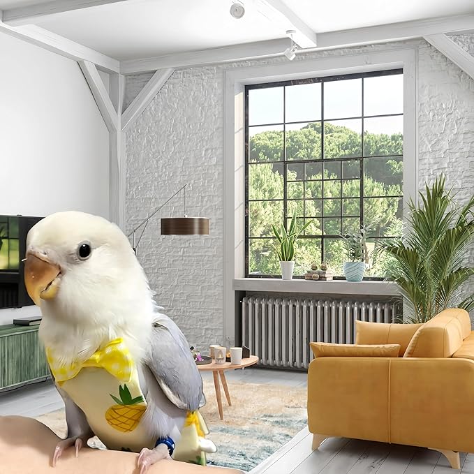 2Pcs Bird Diapers Bird Harness Flight Suits Diapers with 2Pcs 80 Inch Flying Leash Parrot Nappy Pigeon Pants Urine Wet Suit for Cockatiel Conure Macaw Budgies Parakeet-Apple&Pineapple