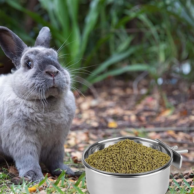 Hypeety Stainless Steel Food Water Bowl for Pet Bird Crates Cages Coop Dog Cat Parrot Bird Rabbit Pet (Medium,4.7 * 2.1in)