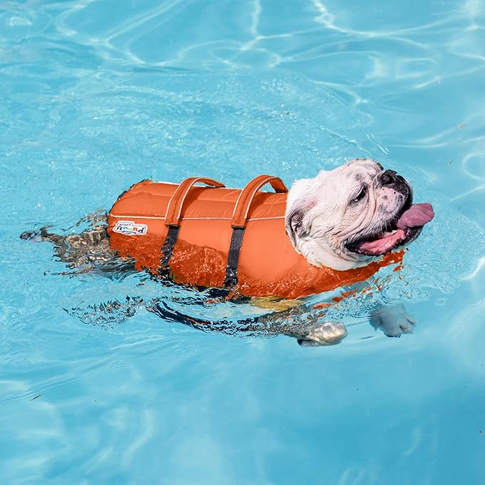 Outward Hound Granby Splash Orange Dog Life Jacket,Large,(Pack of 12)
