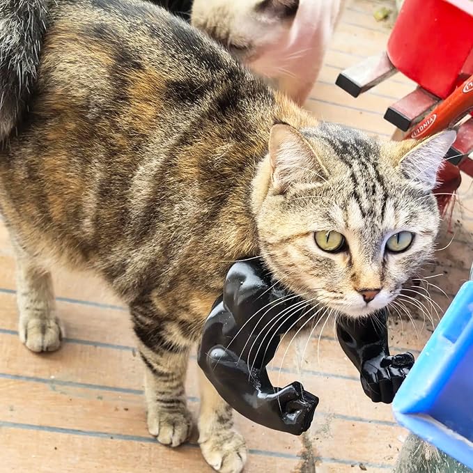 3D Printed Cat Muscle Arms, Halloween Cat Costume Accessory Neck Arms for Pet Cosplay, Lightweight Muscular Arms for Cats Birthday Party Supplie, Halloween Unique Costume Prop for Pets (Black)