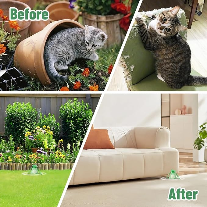 Cat Repellent Outdoor & Indoor, Cat Deterrent Outdoor Indoor, Natural Essential Oil Ball, Anti Cats Scratch for Furniture, Keep Cats Out of Yard, Keep Cats Away from Garden, Lawn Plants, 12 Packs