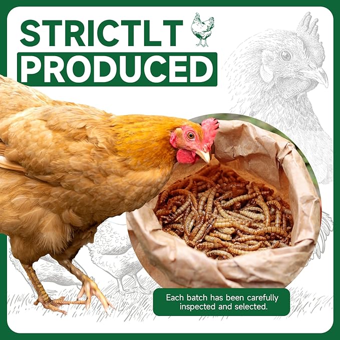 Black Soldier Fly Larvae Worms for Chickens, 10.5LB, 100% Natural Non-GMO BSFL Chicken Food, More Calcium Than Dried Mealworms, High Protein Chicken Treats for Layer Hens, Wild Birds, Ducks