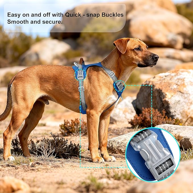 No Pull Dog Harness – Adjustable Reflective Nylon Vest for Small Medium Large Dogs, Escape Proof Training Harness with Leather Control Handle, Lightweight Aluminum Hardware (Royal Blue, L)