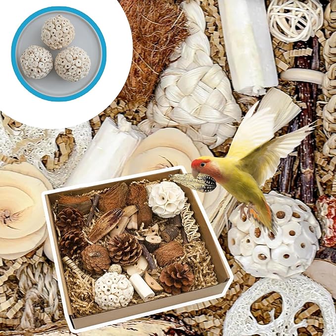 Parrot Toys for Large Bird Toys Natural Bird Foraging Box for Parakeets,Cockatiels,Conures,Love Birds