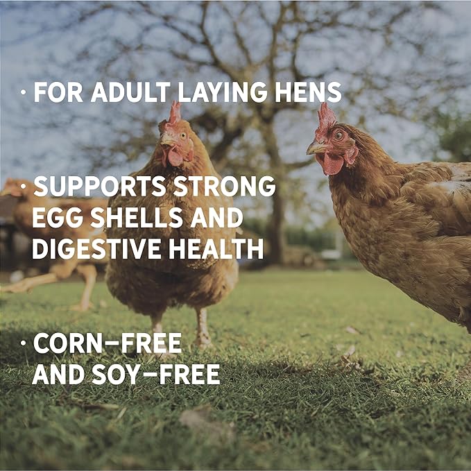 New Country Organics | Corn-Free Classic Layer Chicken Feed for Laying Hens | Corn-Free and Soy-Free | 17% Protein | Certified Organic and Non-GMO Chicken Food | 25lbs Bag