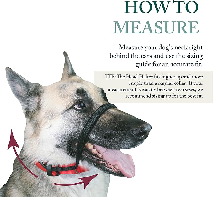SPORN Head Dog Halter, Black, Large