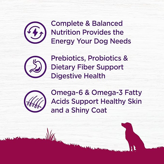 Wellness Complete Health Small Breed Adult Dry Dog Food, Wholesome Grain Kibble, Natural, Turkey and Oatmeal Recipe, 12 lb Bag