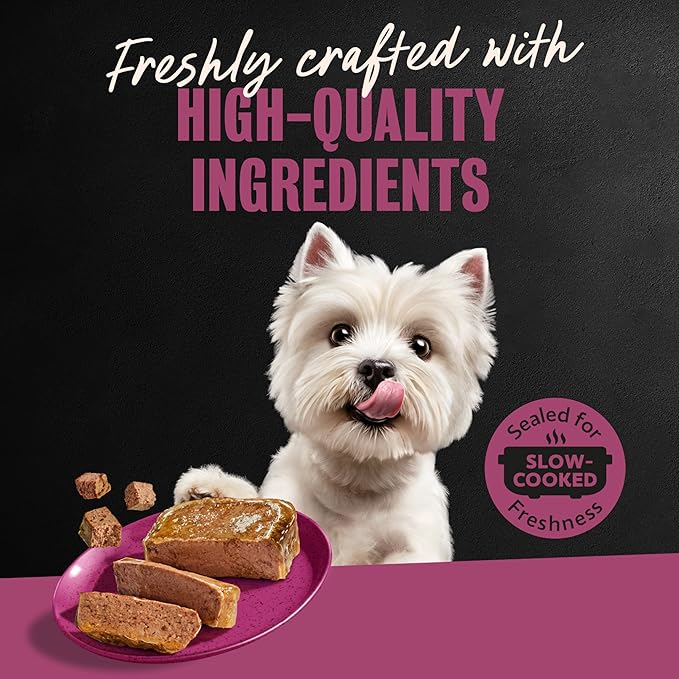 Cesar Adult Wet Dog Food Steak Lovers Variety Pack with Real Meat, 3.5 oz. Easy Peel Trays, 24 Count (Pack of 1)
