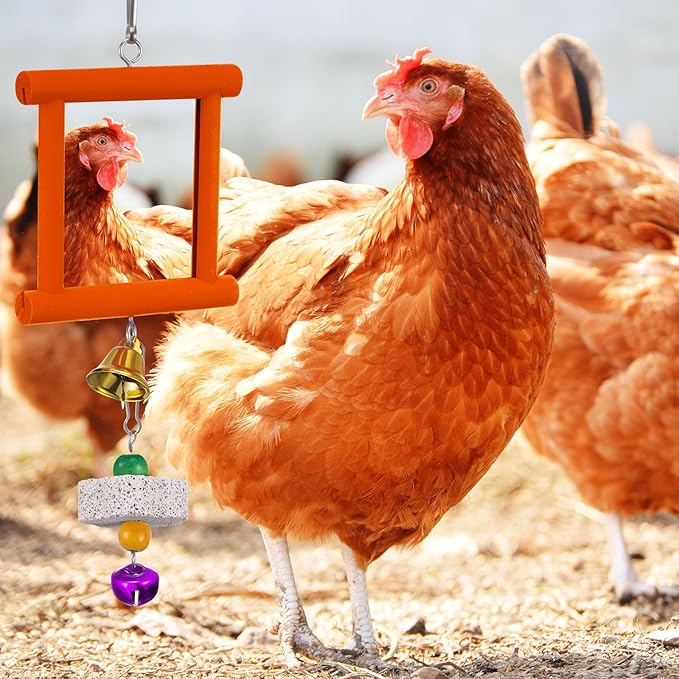 Sumind 2 Pieces Chicken Mirror Toys Hanging Swing Mirror with Bell Wooden Pecking Toy and 4 Pieces Beak Grinding Molar Stones for Hens Birds Parrots (Red,Orange)