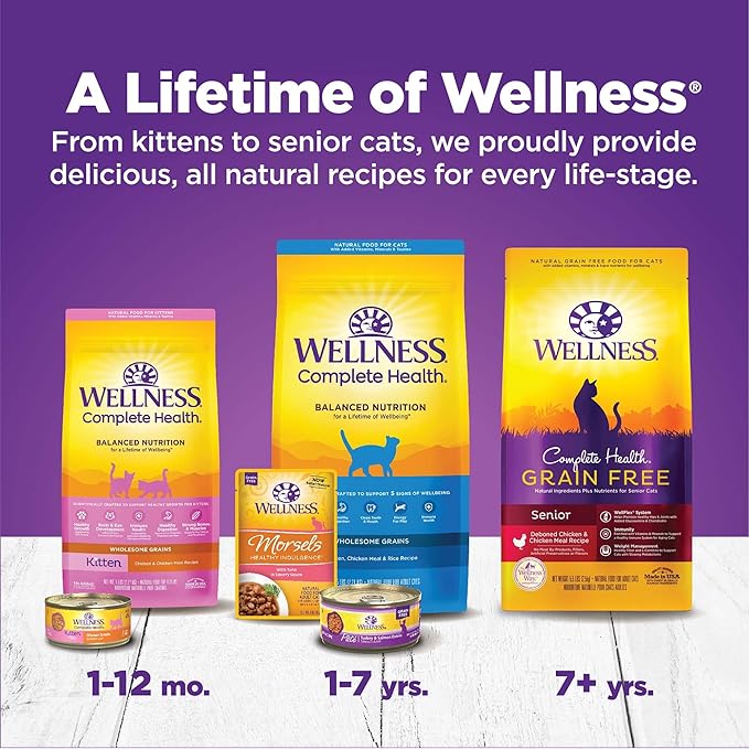 Wellness Complete Health Pate Adult Wet Cat Food, Natural, Protein-Rich, Grain-Free, 5.5 Ounce , 12 Pack, (Chicken & Turkey Favorites Variety Pack)