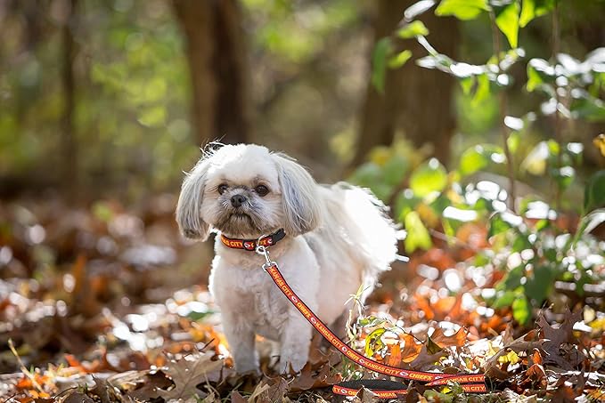 Pets First NFL Licensed Kansas City Chiefs Pet Leash, Size Large – Durable Satin Dog & Cat Walking Strap and Pet Tether with Embroidered Team Name & Logo