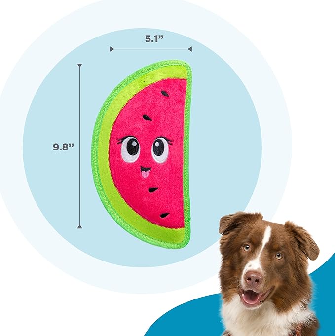 Outward Hound Tough Skinz Durable Squeaky Dog Toy with Two Tough Layers, Watermelon, Red, Medium