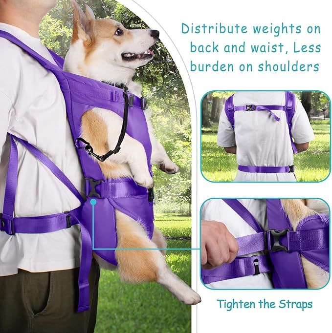 PetBonus Pet Front Dog Carrier Backpacks, Adjustable Pet Backpack, Legs Out Easy-fit Puppy Chest Carrier for Medium Small Dogs, Hands Free for Hiking, Cycling (Purple, M)